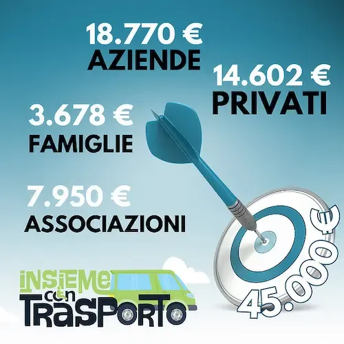 Infografica con la distribuzione delle donazioni tra i vari tipi di donatori