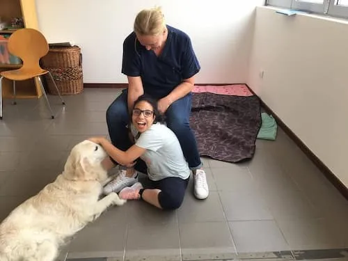 Una persona interagisce con un cane durante l'attività con animali