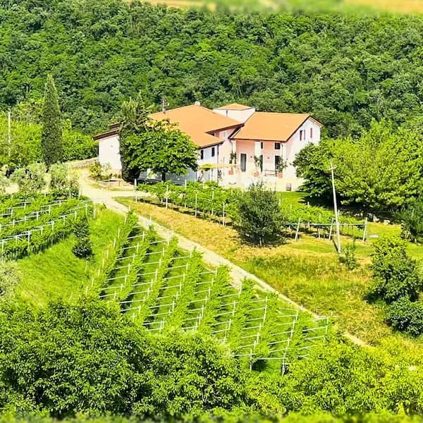 La struttura principale dell'azienda agricola Cascina Capo
