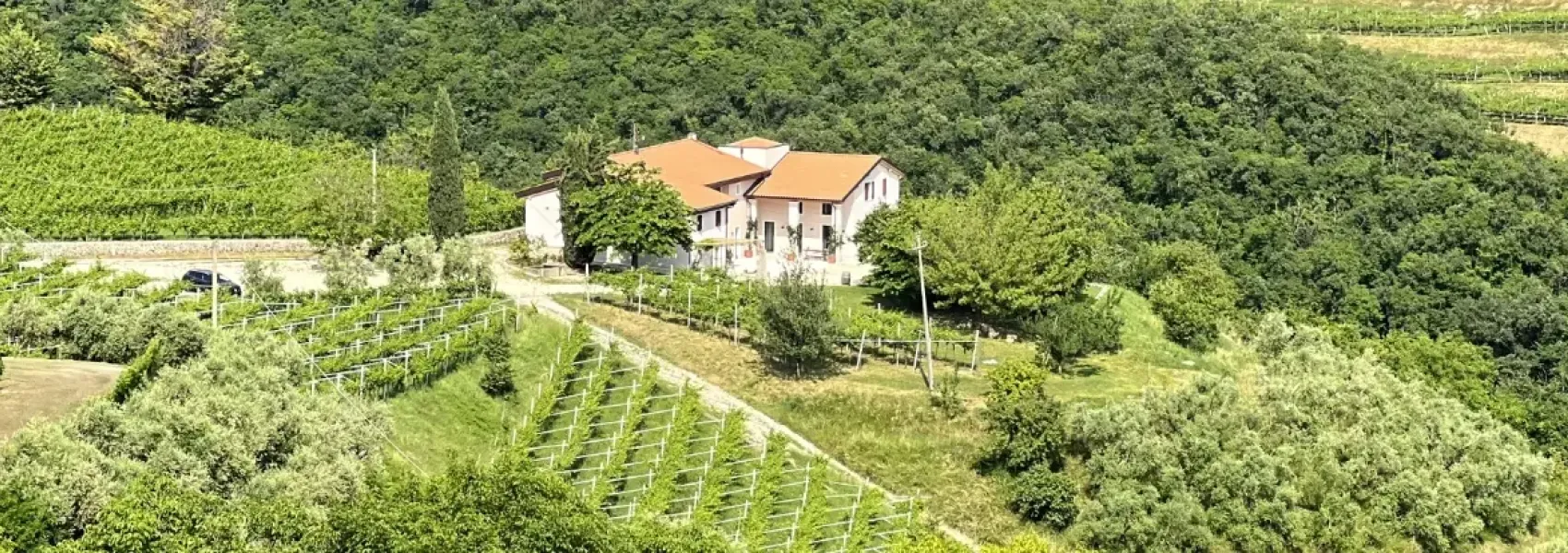 Panoramica di Cascina Capo