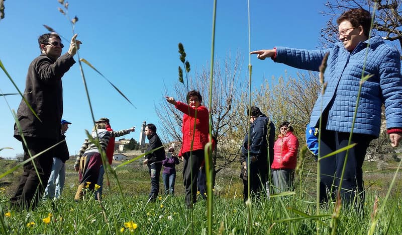 Un gruppo di persone su un prato esegue una figura di danza